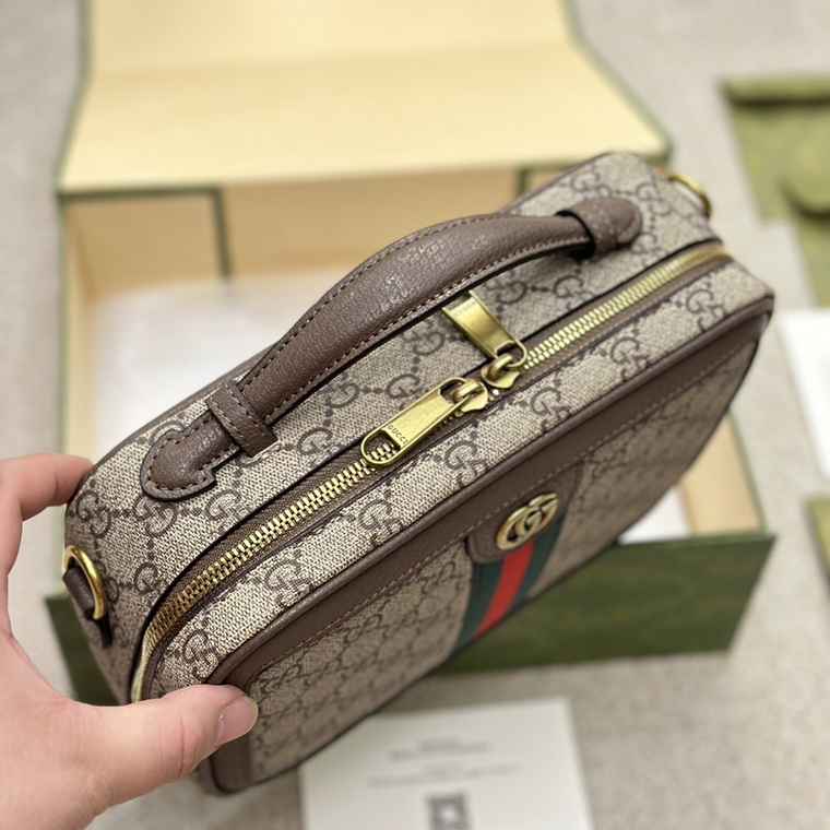 Gucci Ophidia bag 2