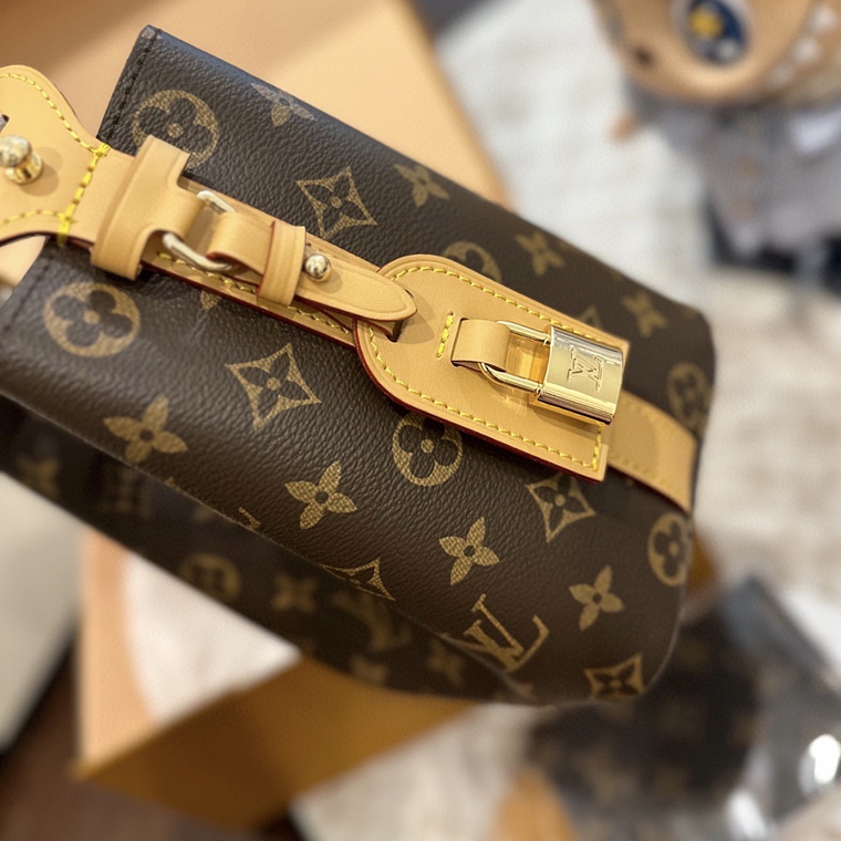 LV ALL IN BB bag 2