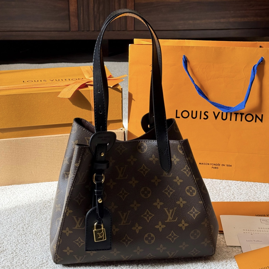 LV All in one bag 3