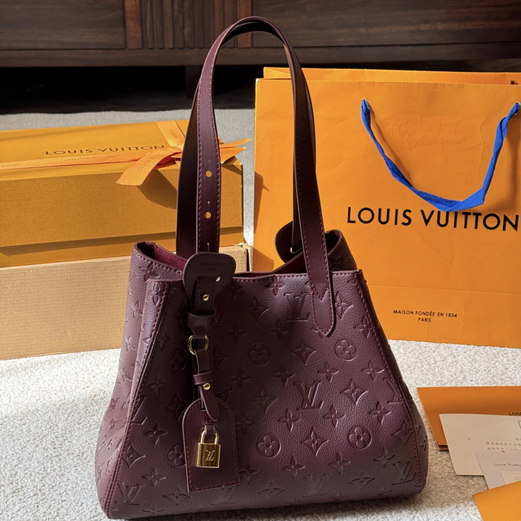LV All in one bag 4