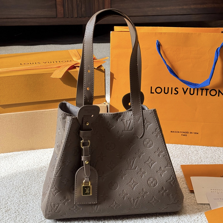 LV All in one bag 5