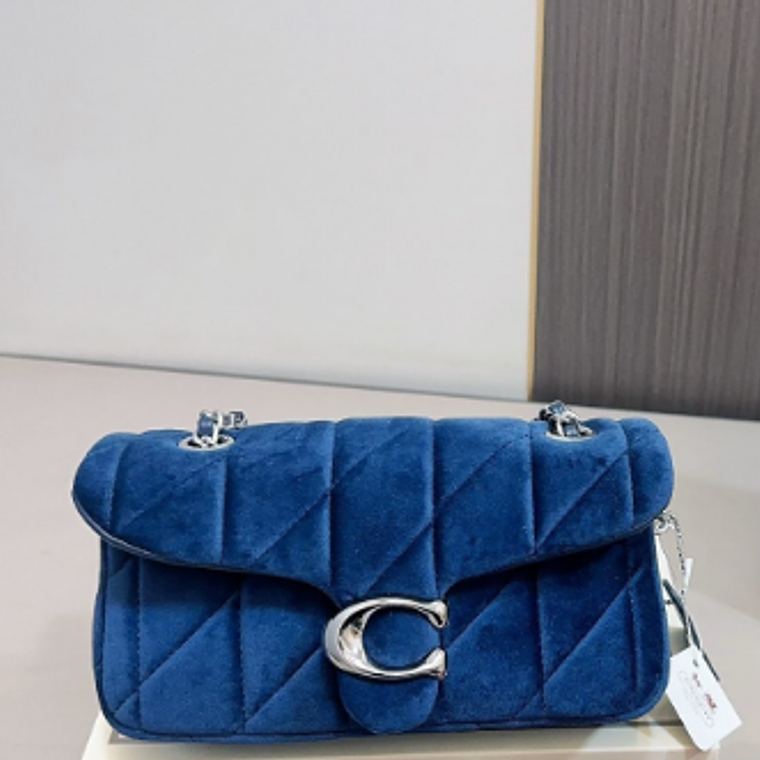 Coach Suede bag 2