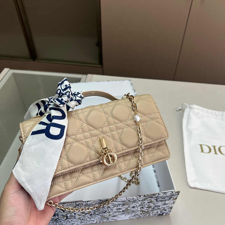 DIOR Miss bag 8