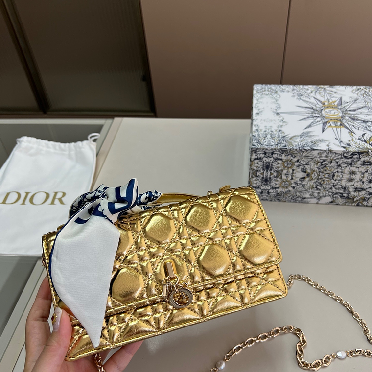 DIOR Miss bag 9