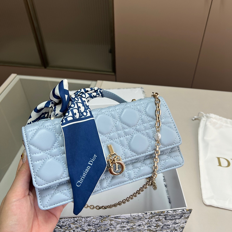 DIOR Miss bag 11