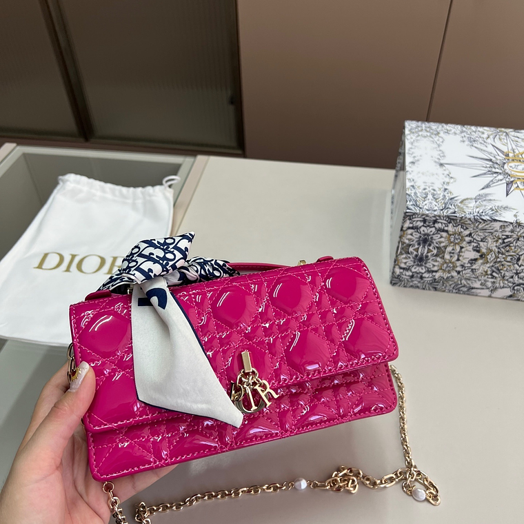 DIOR Miss bag 13