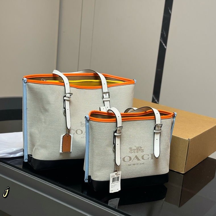 Coach tote bag 1