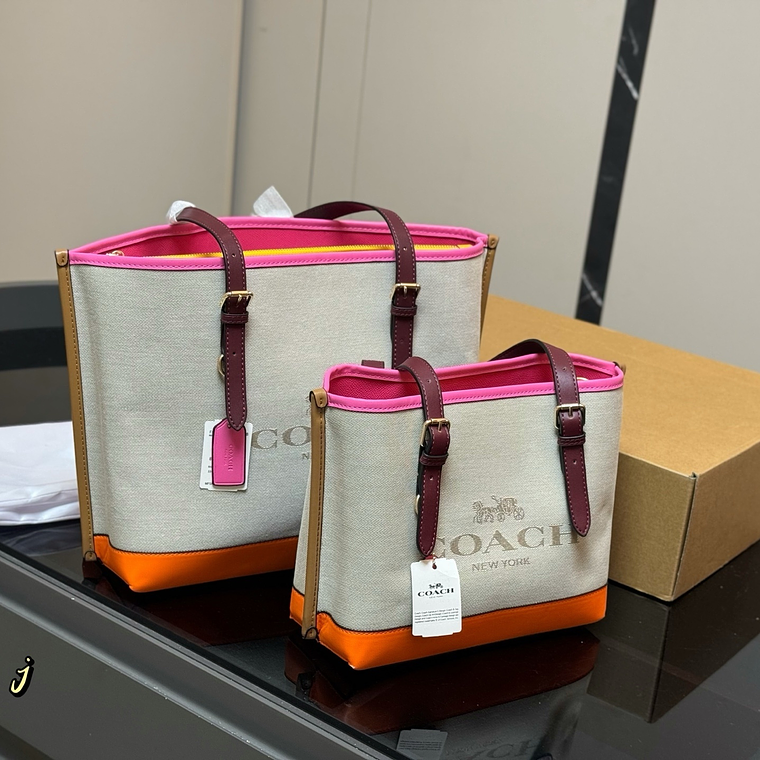 Coach tote bag 2