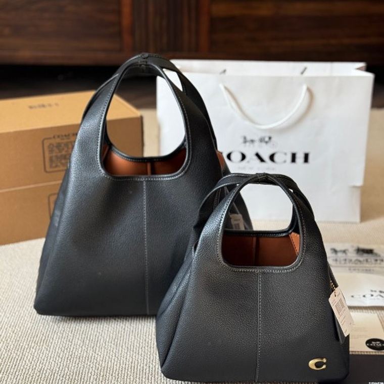 Coach Lana bag 1