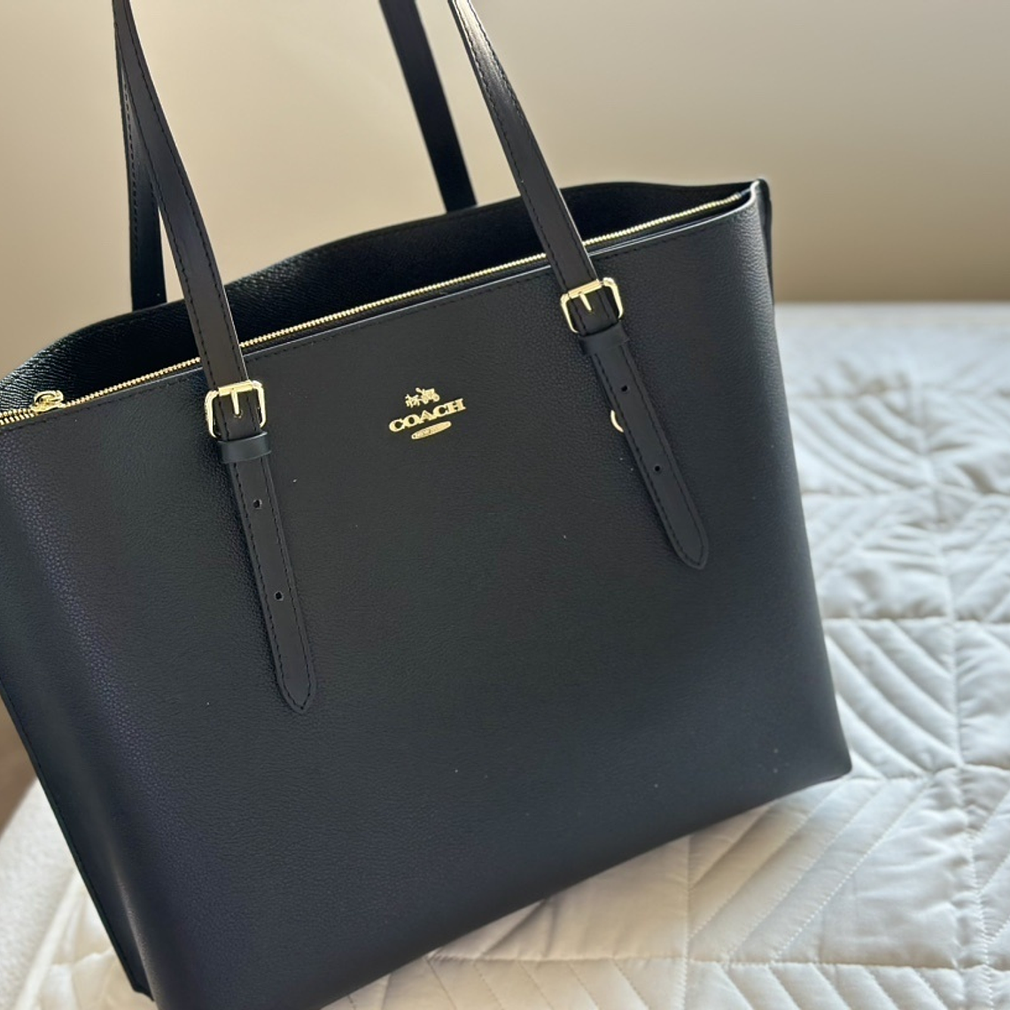 Coach mollie tote 5
