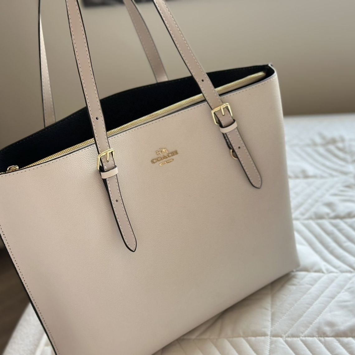 Coach mollie tote 6