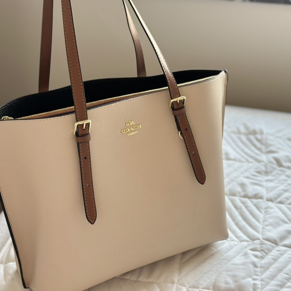 Coach mollie tote 11