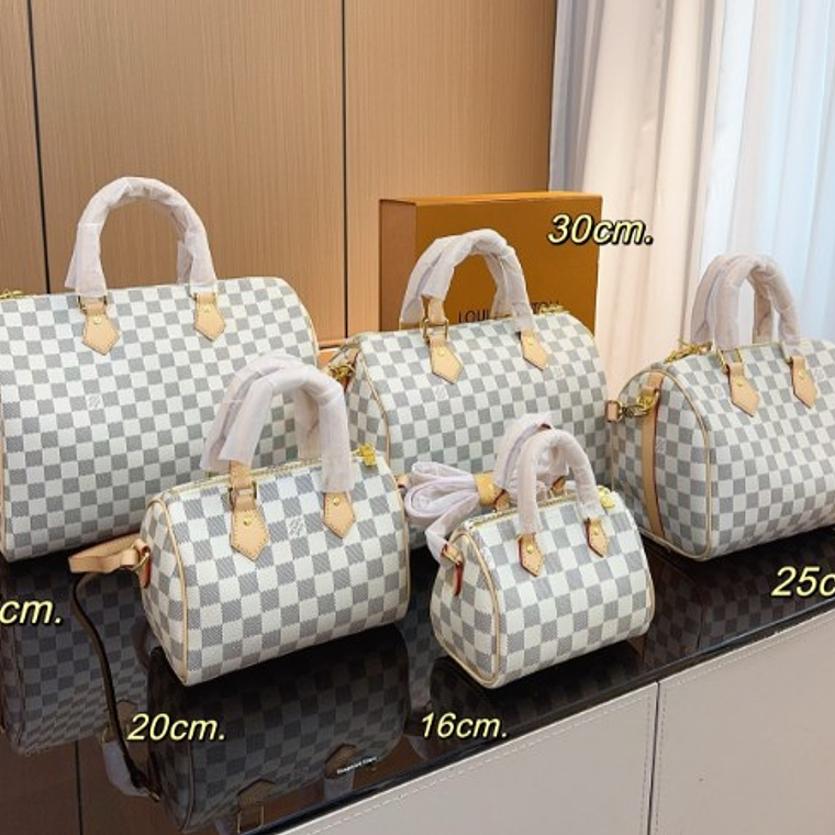 LV Speedy Pillow Bag 2