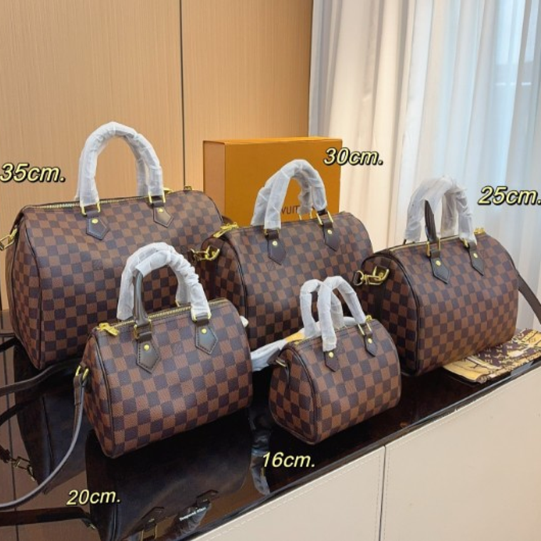 LV Speedy Pillow Bag 3
