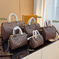 LV Speedy Pillow Bag - Thumbnail 3