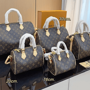 LV Speedy Pillow Bag