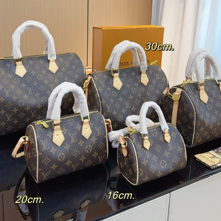 LV Speedy Pillow Bag 1