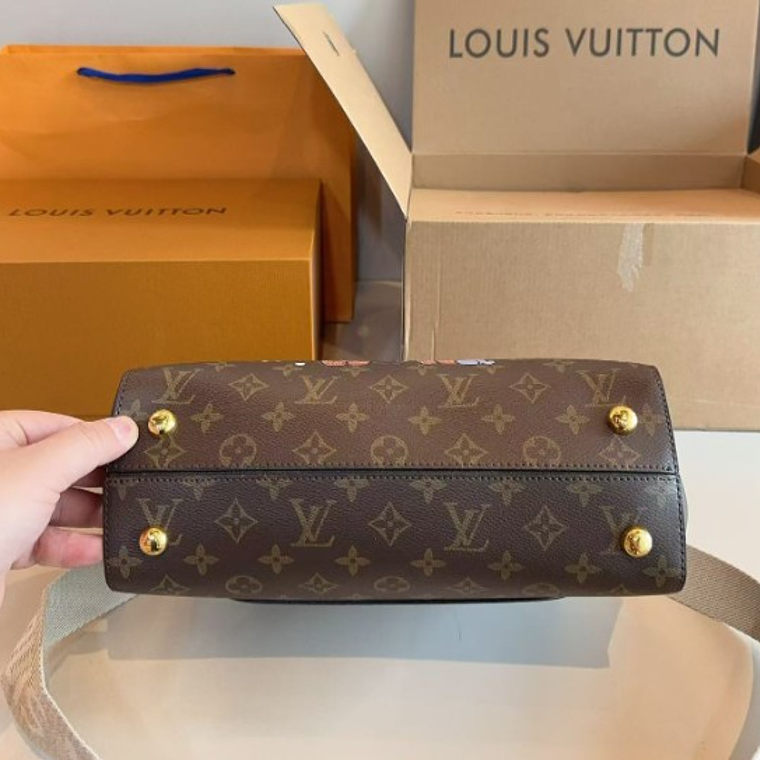 LV bag 2
