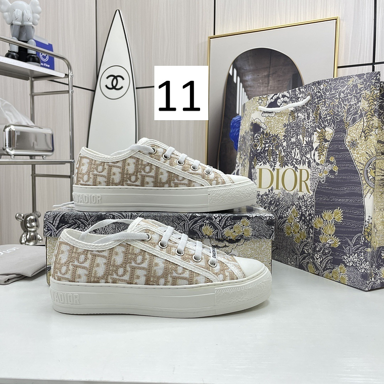 Dior Skateboard Shoes 1