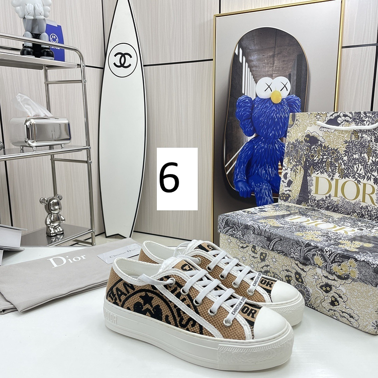 Dior Skateboard Shoes 4