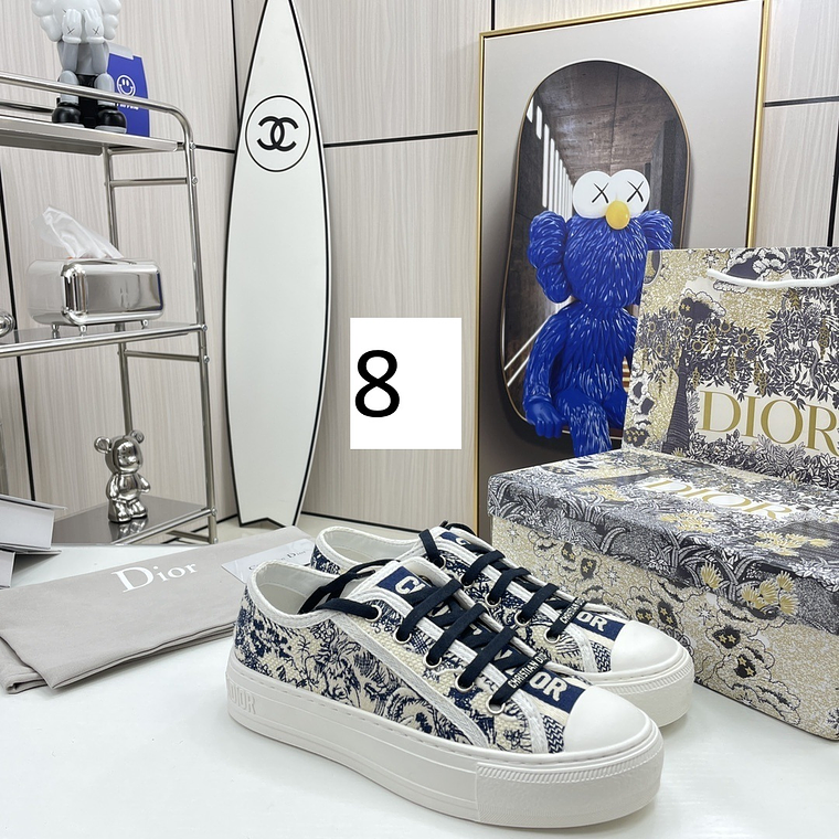 Dior Skateboard Shoes 7