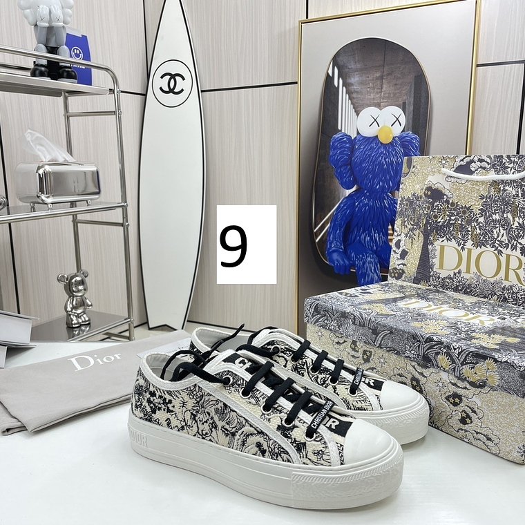 Dior Skateboard Shoes 8