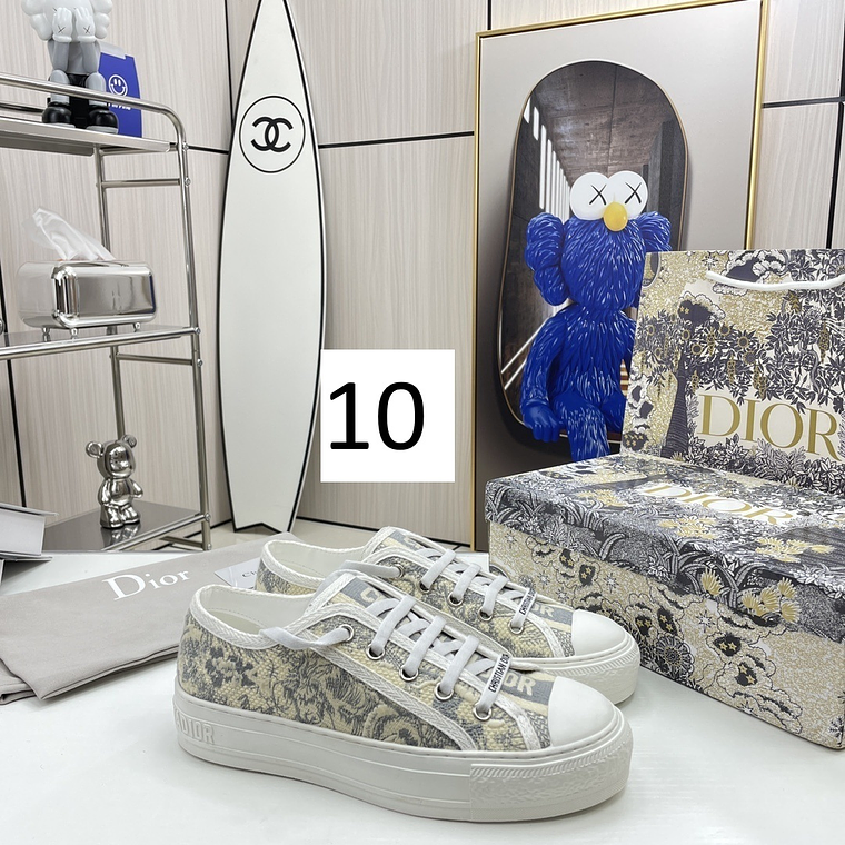 Dior Skateboard Shoes 11