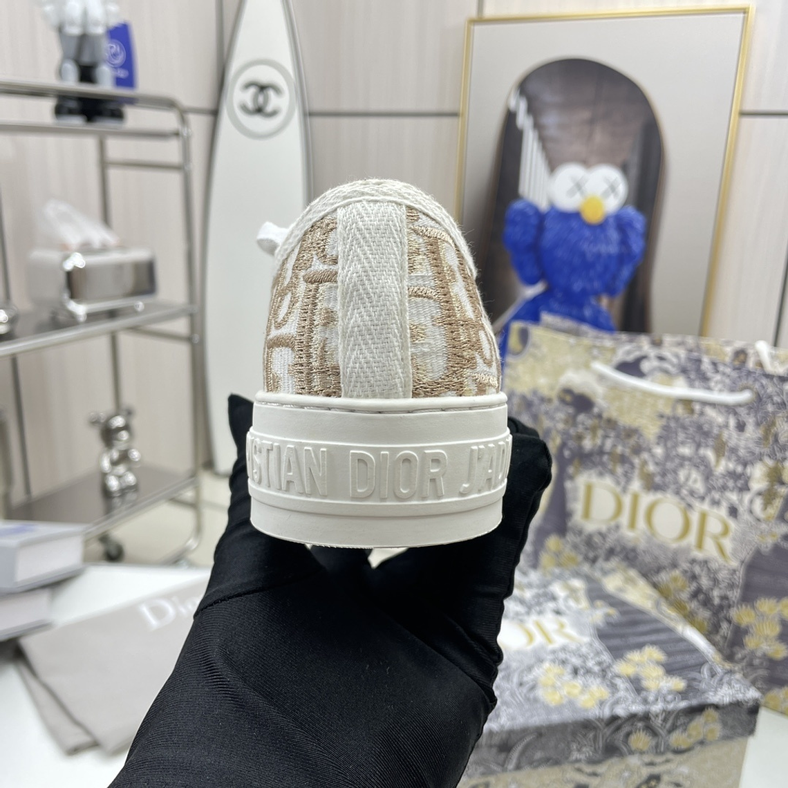 Dior Skateboard Shoes 12