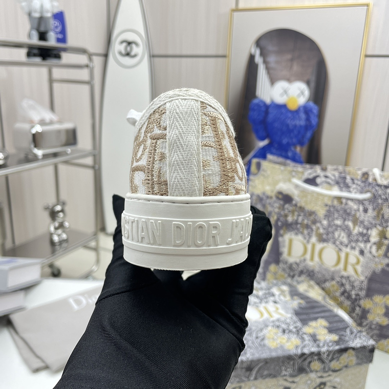 Dior Skateboard Shoes 12