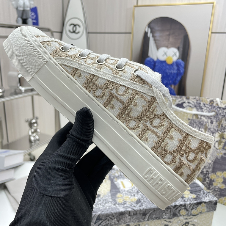 Dior Skateboard Shoes 13