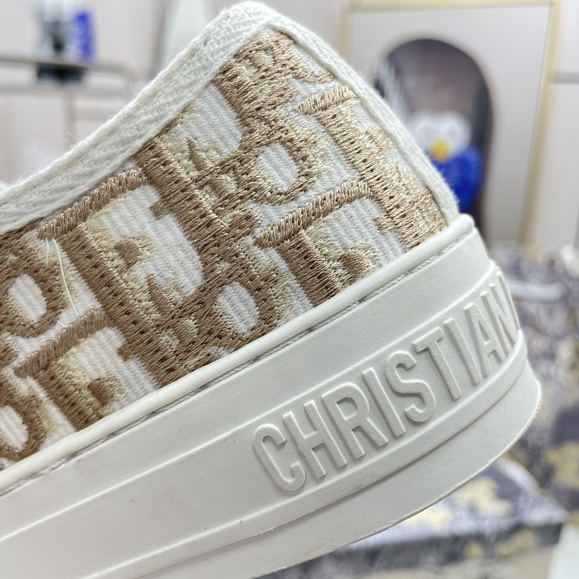 Dior Skateboard Shoes 14