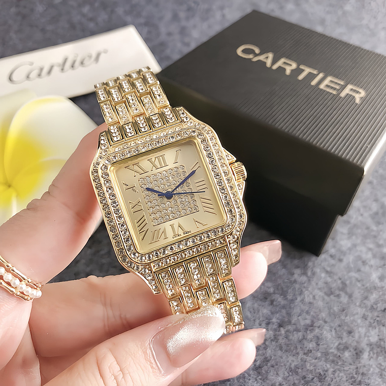 Relógio Cartier CA176 3