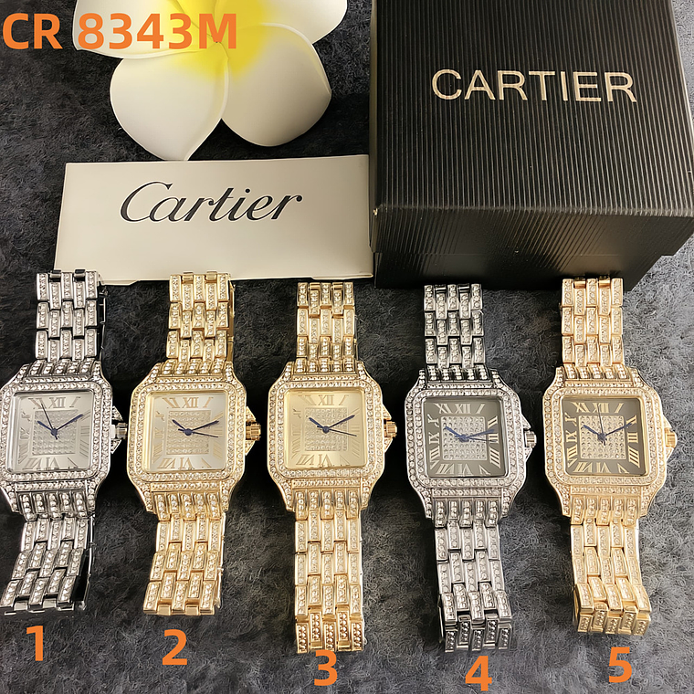 Relógio Cartier CA176 8