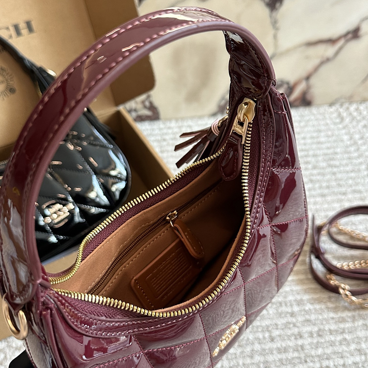 Coach bag 002 5