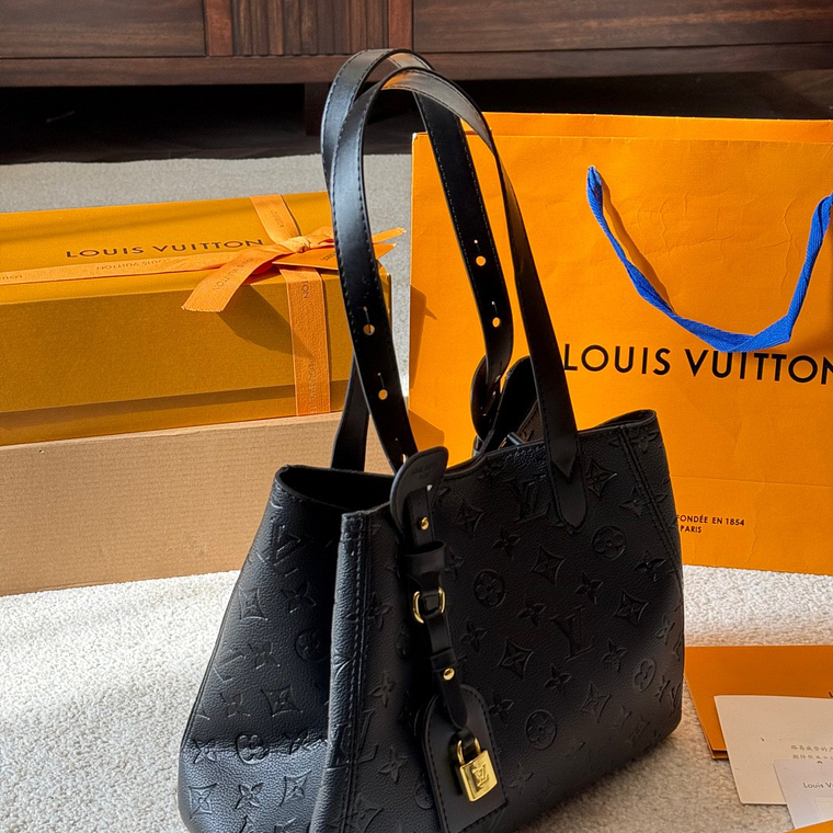 Louis Vuitton All in one bag 7
