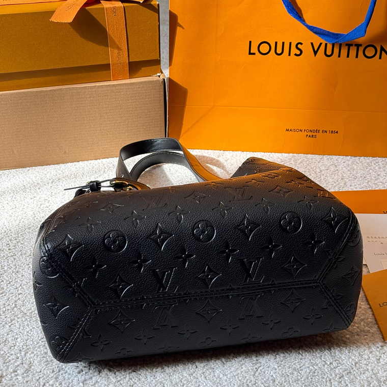 Louis Vuitton All in one bag 8