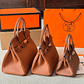 Hermes Birkin bag (alta qualidade) - Thumbnail 6