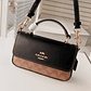 Coach bag  - Thumbnail 1
