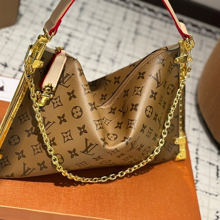 Louis Vuitton bag 1