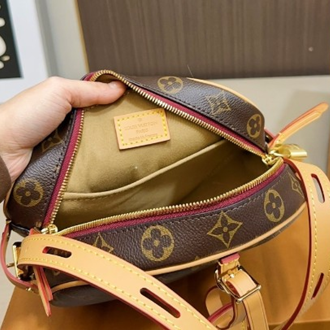 Louis Vuitton bag 4
