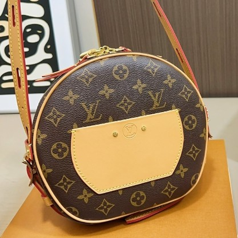 Louis Vuitton bag 5