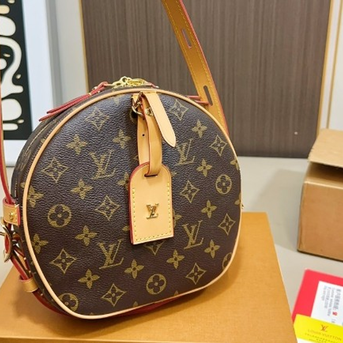 Louis Vuitton bag 1