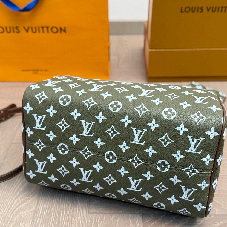 Louis Vuitton speedy bag 5