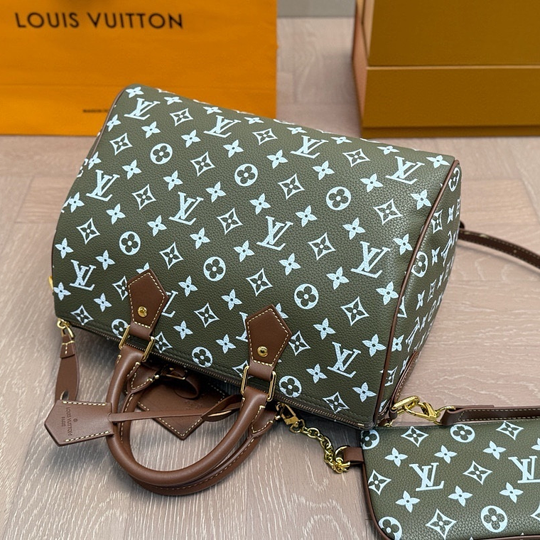 Louis Vuitton speedy bag 6