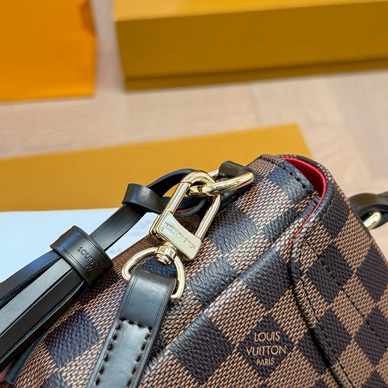 Louis Vuitton bag 6