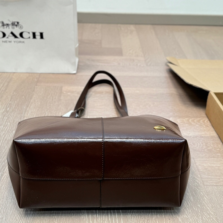 Coach bag  6