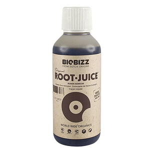 ROOT JUICE