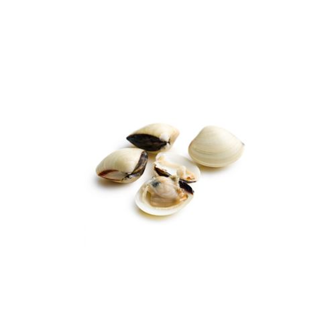 Almeja Blanca Chioner Congelada KG 1