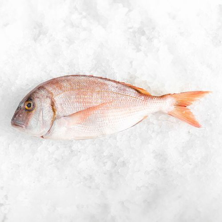 Besugo entero 500-700 grs 1