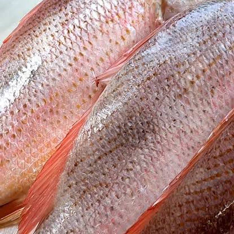 Huachinango Kilero 800-1.900 kg 1